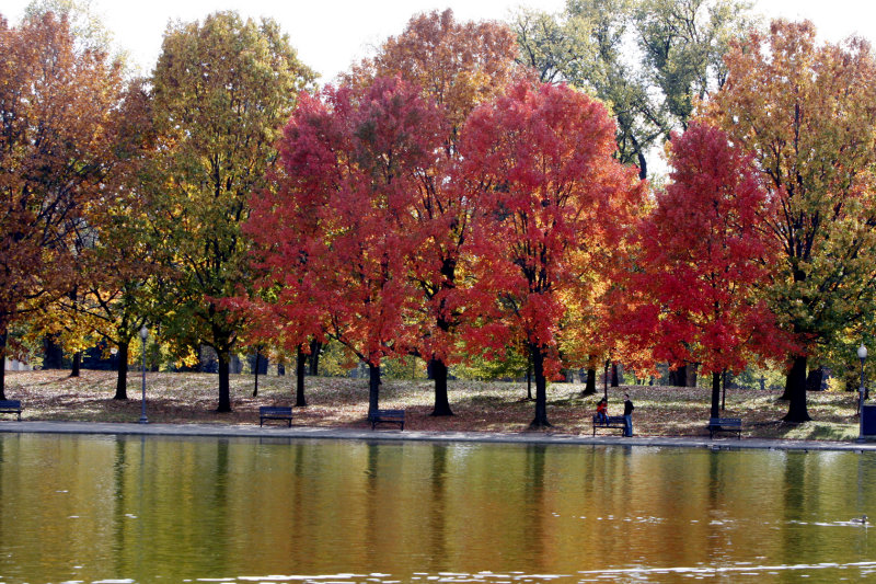 Constitutional Pond Fall