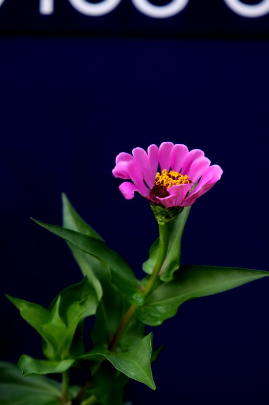 5 september 2010