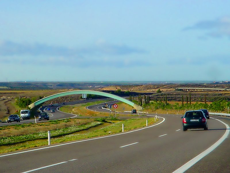 Road Trip