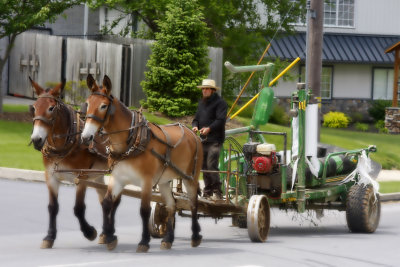 In the Heart of Amish Country