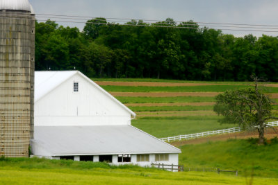 Amish Farms Abound