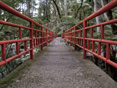 Red Railings, Madeira.jpg