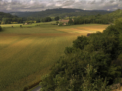 Sunlit Fields, Dordogne, France.jpg