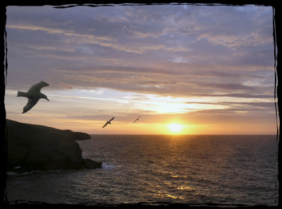 Sunset, Looe Cornwall.jpg