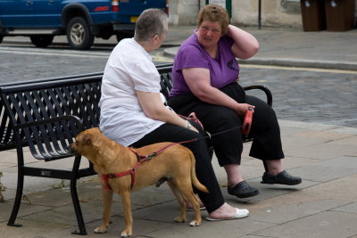 Local inhabitants, Stirling, Scotland