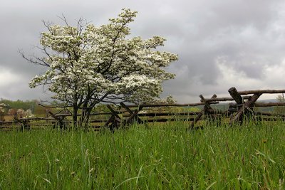 Pennsylvania Countryside