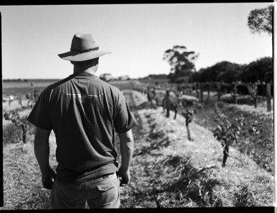 Last of The Summer Wine, Barossa SA 2008