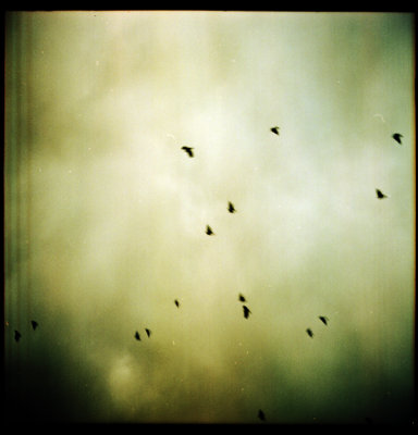 Icarus' Dream, Langres 2009