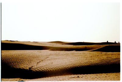 The Magic Carpet, Waheba Sands; Oman 2008