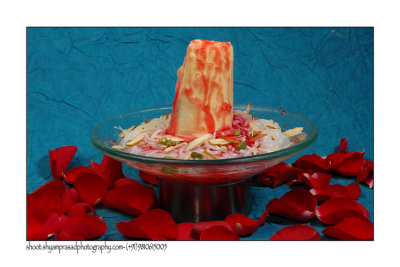shyamprasadphotography.com-mob.-9810615005