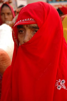 DSC_2688.jpg
