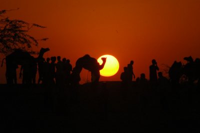DSC_2802.jpg