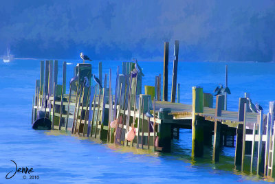 birds on pier