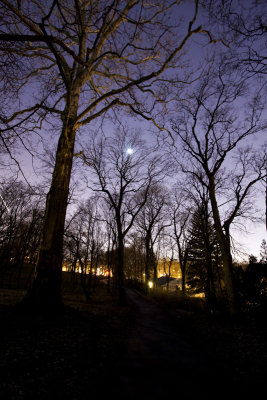 Park by moonlight/house lights...