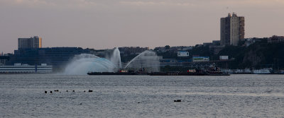 IMG_9056.jpg