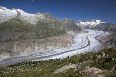 The Aletsch Glacier, above Riederalp.
