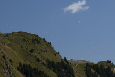 So many paragliders!