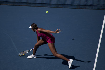 Venus Williams volley.