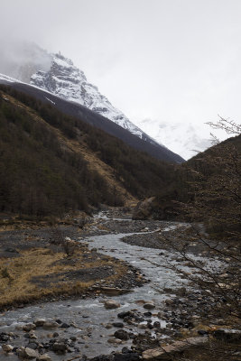 Creek next to Refugio Chileno, Torres del Paine National Park.
