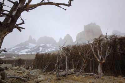 The back of the Cuernos, Torres del Paine National Park.