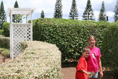 Entering World's Largest Maze