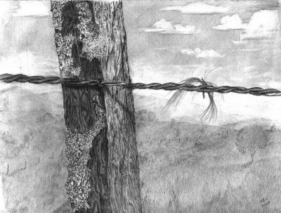 Graphite Pencil - Fenced In