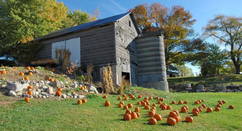 Pumpkins