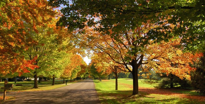 Fall at the Country Club