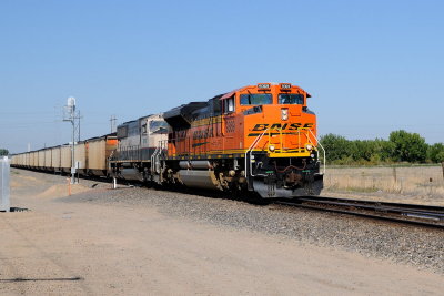 Eastbound Coaltrain