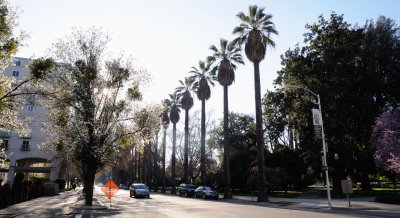 Capitol Street Sacramento CA