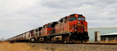 BNSF 5007