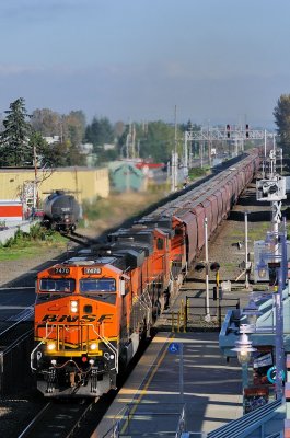 BNSF 7470 Grain Train