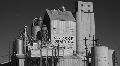 Anthony KS Coop Grain