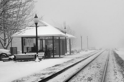 Snowy Station Lees Summit MO