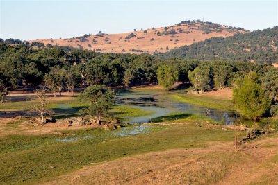 Rolling Hills and Water