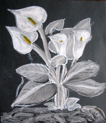 Calla Lily, Christy, age:13