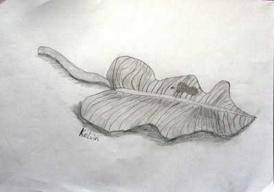 g1/78/632378/3/105684333.R8rdWuGr.jpg