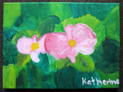 Begonia, Katherine, age:7.5