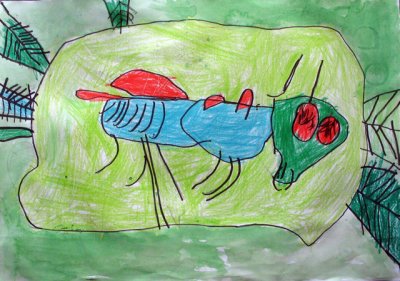 grasshopper, Kane, age:5