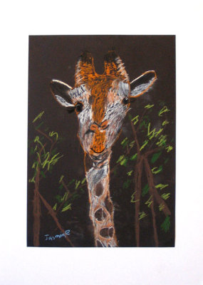 animal portrait - giraffe, Jasmine, age:6