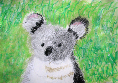 koala, Callum, age:8