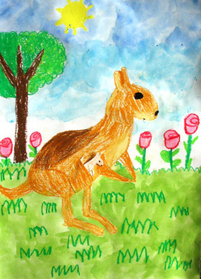 kangaroo, Annie, age:5.5