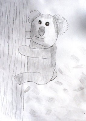 koala, Kelvin Su, age:7