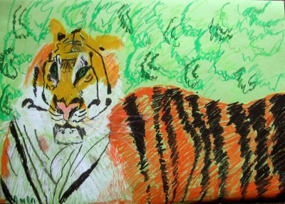 tiger, Owen, age:9