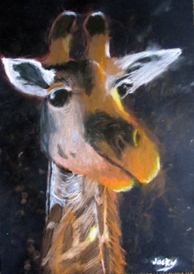 animal portrait -giraffe, Jacky, age:15