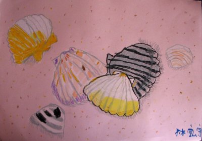 shells, Lin Hong Yu, age:5.5