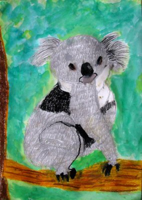 koala, Jonathan, age:9