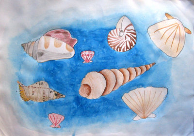 shells, Joy, age:7.5