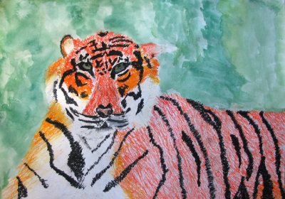 tiger, Kelvin Xie, age:9