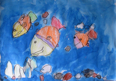 fish, Amber, age:3.5